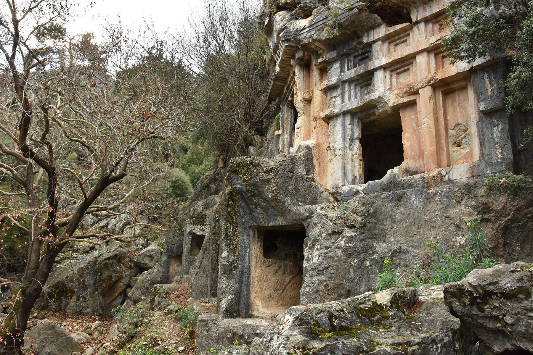 Pinara Antique City, Arifler